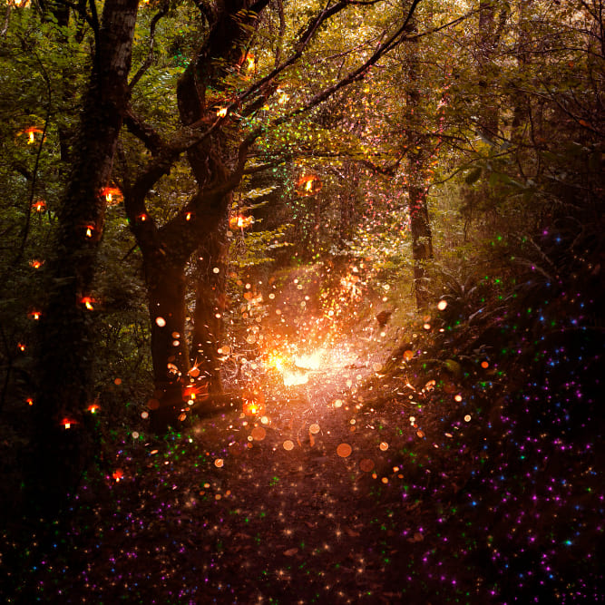 Des lucioles volent à travers la forêt